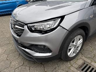 Opel Grandland X picture 11