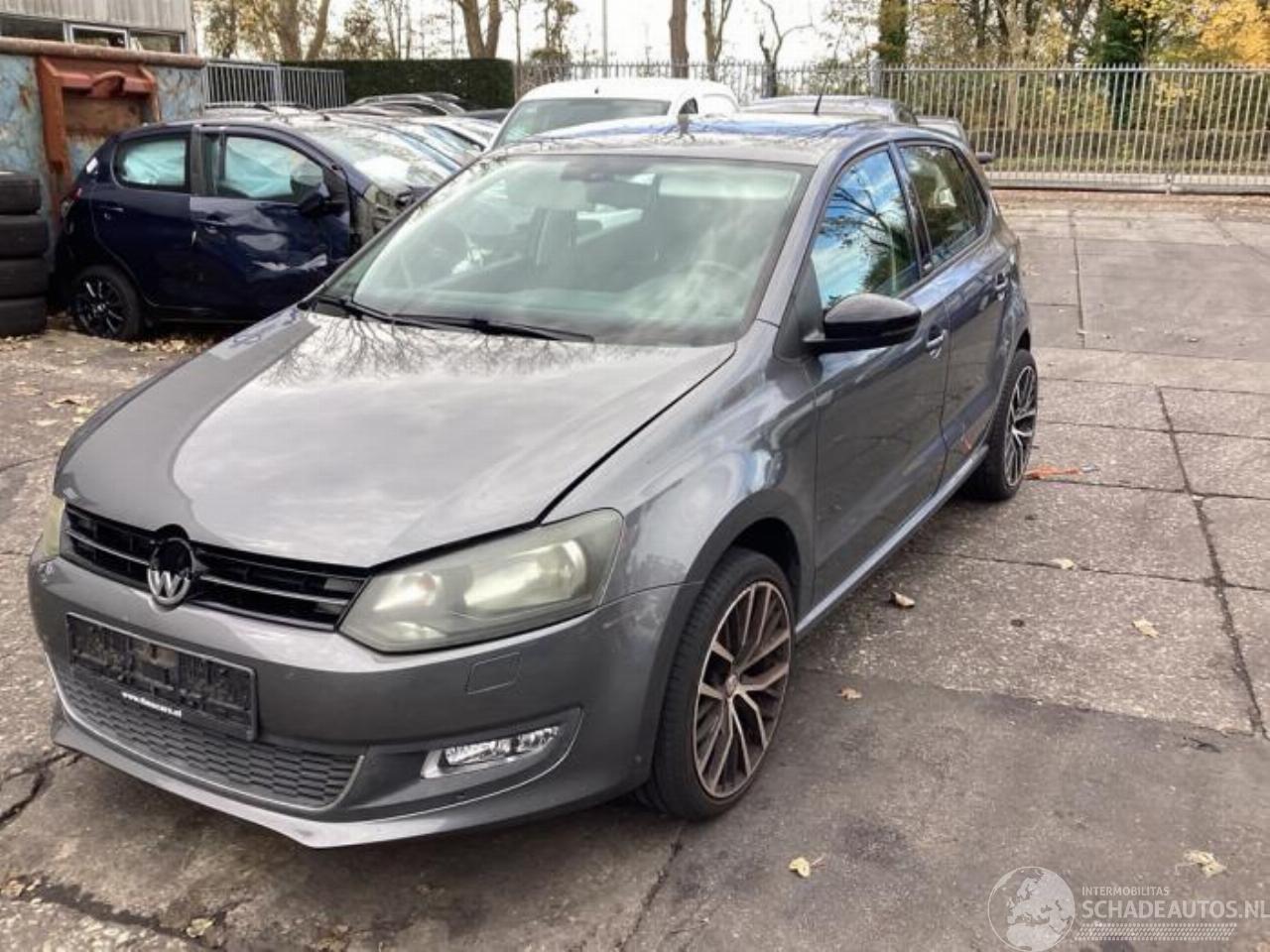 Volkswagen Polo Polo V (6R), Hatchback, 2009 / 2017 1.4 16V