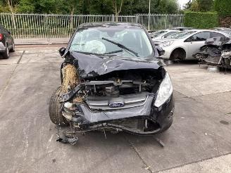 Ford C-Max C-Max (DXA), MPV, 2010 / 2019 1.0 Ti-VCT EcoBoost 12V 100 picture 9