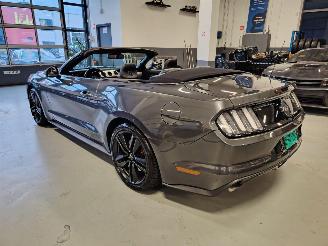 Ford Mustang  picture 5