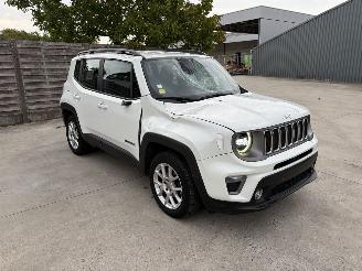 Schadeauto Jeep Renegade PHASE 2 2.0 JTD - 16V TURBO 4X4 2019/8