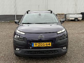 Citroën C4 cactus 1.6 BlueHDi Business picture 2