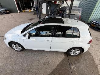 Volkswagen Golf 2.0 TDI DSG PANO XENON FULL picture 8