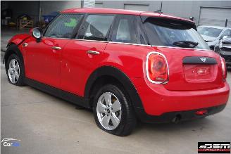 Mini One EXCITEMENT PEPPER II picture 5