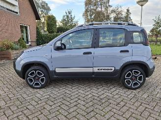 Fiat Panda 1.0 hybrid  cross   52kw  navi clima picture 2