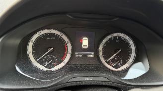 Skoda Karoq 1.5 TSI ACT Business Edition picture 15