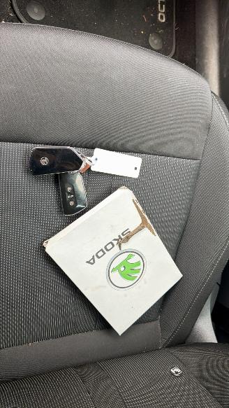 Skoda Octavia 1.0 TSI GREENTECH SPORT BUSINESS picture 15