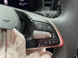 Skoda Kamiq Business picture 18