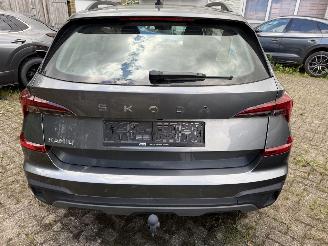 Skoda Kamiq Business picture 5