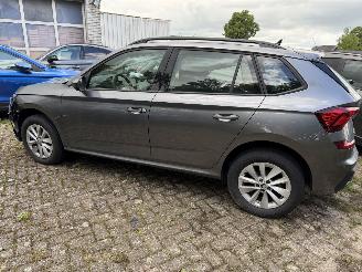 Skoda Kamiq Business picture 8