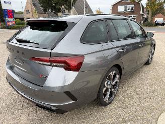 Skoda Octavia 2.0 - 195 Kw DSG VRS Kombi picture 17