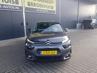 Citroën C4 cactus 1.2 PureTech Origins picture 3