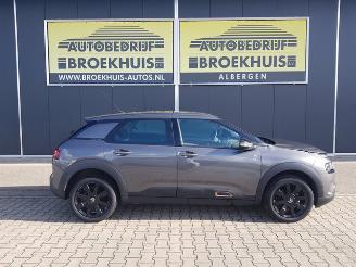 Citroën C4 cactus 1.2 PureTech Origins picture 4