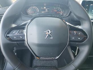 Peugeot 2008 1.2 PureTech Active Pack picture 15