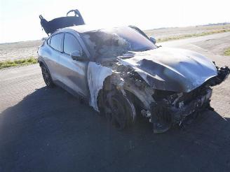 Ford USA Mustang Mach E picture 4