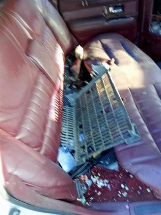 Lincoln Town Car 4.9 picture 8