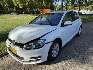 skadebil auto Volkswagen Golf 1.0 tsi 2016/8