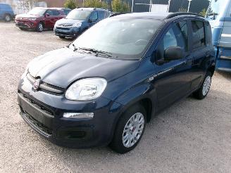 Fiat Panda 1.2 Easy picture 2