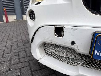 BMW X1 SDRIVE 20D 2.0 16V SUV  Diesel 1.995cc 130kW (177pk) RWD picture 24