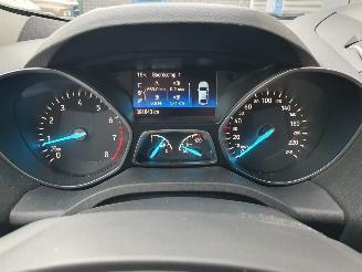 Ford Kuga 1.5 EcoBoost Trend Ultimate picture 16