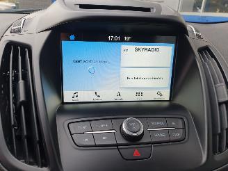 Ford Kuga 1.5 EcoBoost Trend Ultimate picture 18