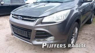 Ford Kuga Kuga II (DM2), SUV, 2012 2.0 TDCi 16V 140 picture 5