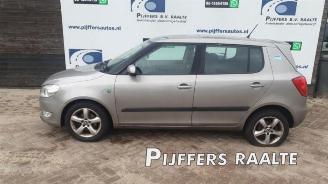 Skoda Fabia Fabia II (5J), Hatchback 5-drs, 2006 / 2014 1.2 TDI 12V Greenline picture 1