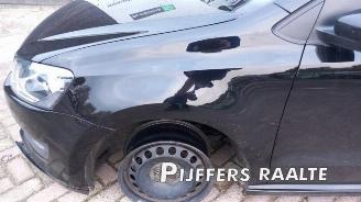 Volkswagen Polo Polo V (6R), Hatchback, 2009 / 2017 1.2 TDI 12V BlueMotion picture 15
