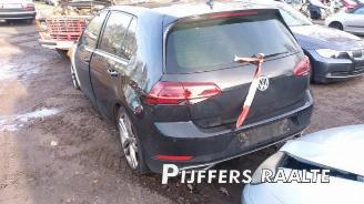 Volkswagen Golf Golf VII (AUA), Hatchback, 2012 / 2021 1.5 TSI Evo BlueMotion 16V picture 3