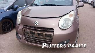 Suzuki Alto Alto, Hatchback 5-drs, 2009 1.0 12V picture 3
