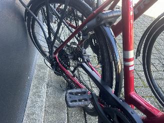 Trek  2x Verve 2 EQ Lowstep picture 5