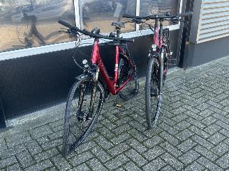 Trek  2x Verve 2 EQ Lowstep picture 2
