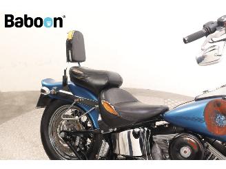 Harley-Davidson  FXSTC Softail Custom picture 13