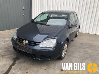 Sloopauto Volkswagen Golf Golf V (1K1), Hatchback, 2003 / 2010 1.4 16V 2004/4