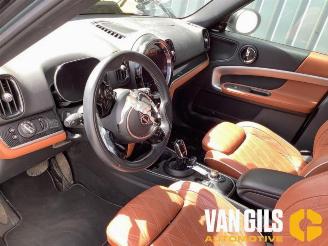 Mini Countryman Countryman (F60), SUV, 2016 1.5 12V Cooper picture 12