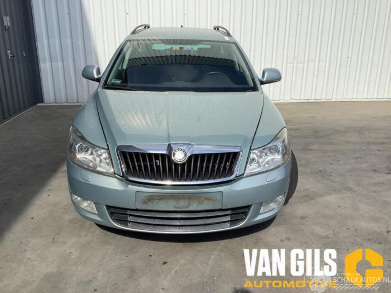 Skoda Octavia Octavia Combi (1Z5), Combi 5-drs, 2004 / 2013 2.0 TDI PDF