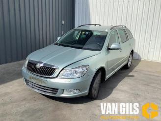 Skoda Octavia Octavia Combi (1Z5), Combi 5-drs, 2004 / 2013 2.0 TDI PDF picture 3