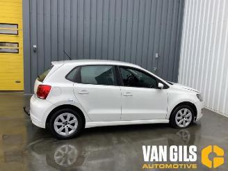 Volkswagen Polo Polo V (6R), Hatchback, 2009 / 2017 1.2 TDI 12V BlueMotion picture 6