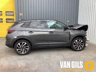 Sloopauto Opel Grandland Grandland (X), SUV, 2017 1.2 Turbo 12V 2019/3