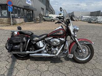 Avarii motociclete Harley-Davidson Heritage Chopper 96 FLSTC Heritage Classic 2007/3