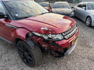 Land Rover Range Rover Evoque 2.0 Si 4WD Pure panorama automaat picture 6