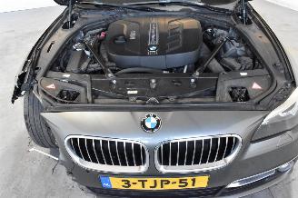 BMW 5-serie 525d Luxury Edition picture 11