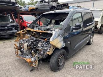 Opel Combo Combo Cargo, Van, 2018 1.6 CDTI 75 picture 17