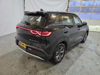 BYD  Atto 2 picture 7