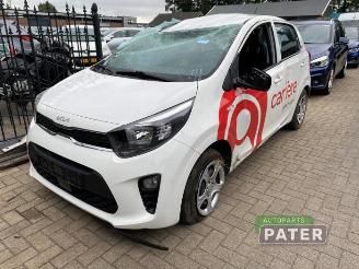 demontáž osobní automobily Kia Picanto Picanto (JA), Hatchback, 2017 1.0 DPI 12V 2024/6