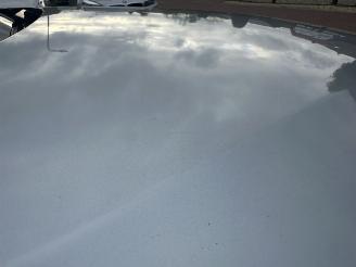 BMW 3-serie 330e Cent. Exec. picture 6