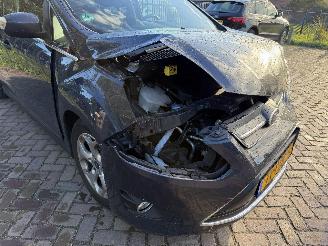 Ford C-Max 1.6 SCTi Trend 110 Kw picture 21