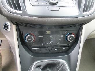 Ford Grand C-Max 1.0 Titanium REST BPM 600 EURO !!!!! picture 21