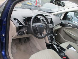 Ford Grand C-Max 1.0 Titanium REST BPM 600 EURO !!!!! picture 16