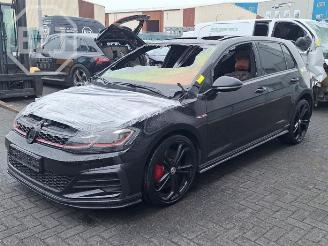  Volkswagen Golf Golf VII (AUA), Hatchback, 2012 / 2021 2.0 GTI TCR 16V 2019/4